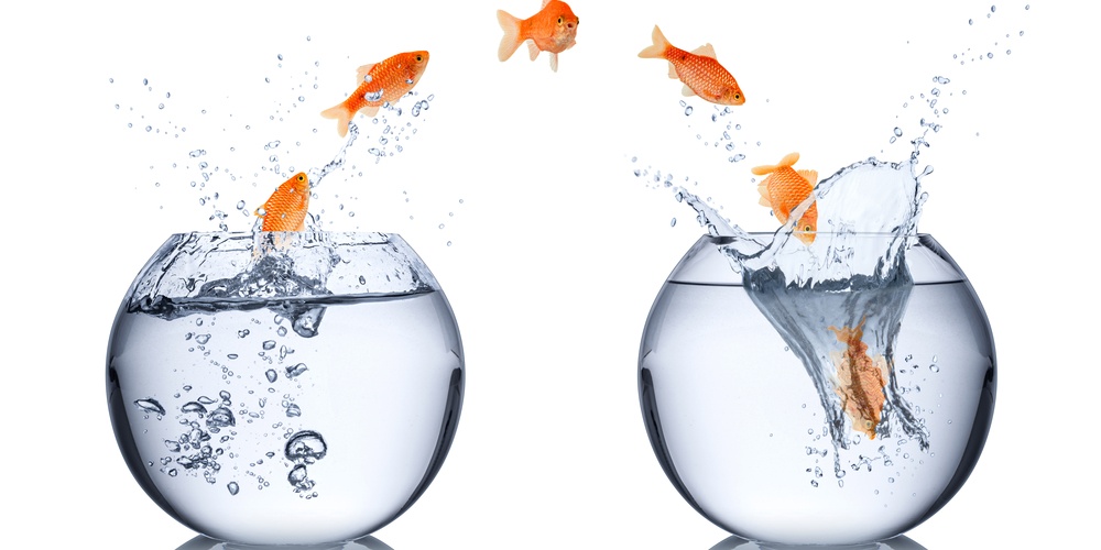 5 Signs You Should Switch HR Outsourcing Solutions